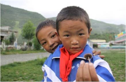 �ɂ�(g��)�W(xu��)���������(f��)����W(xu��)��֧���(du��)�T�����_(d��)�Ѻã��f��һֻСĢ�����挦(du��)�㌍(sh��)�ĺ��ӂ���֧���(du��)�T������ϣ���ǡ��������҂���ʣ��҂��������S��(sh��)����