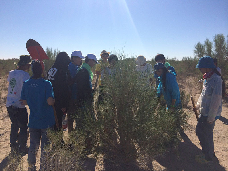 ������Ҫ��һ���ļ��ɺͽ�(j��ng)�(y��n)��ͬ�W(xu��)���_ʼ������һƬ�����ַ��ز����^�m(x��)�����[�ص�����