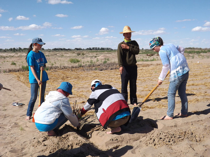 �@�N1.5��Ҋ�������ݸ�������ɳЧ����������^4��5���͕��L(f��ng)�g��������Ҫ�����a����