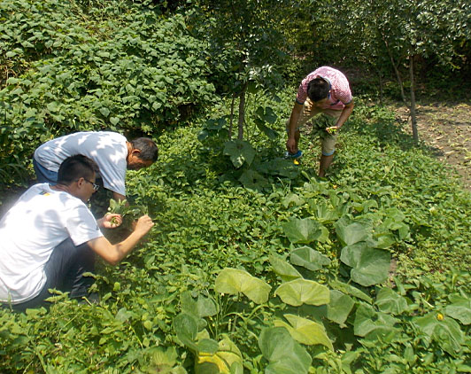 �ڶ��죬�(du��)�T���_ʼ�������B(t��i)�r(n��ng)��(ch��ng)�w�(y��n)�r(n��ng)��������������ժ�ˡ�