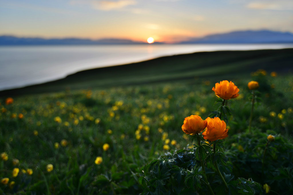 ��������l(xi��ng)�ĸ����