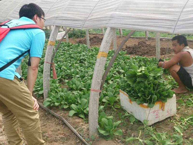 ��(sh��)�`�(du��)�T�c��(d��ng)?sh��)��r(n��ng)��e�O��ͨ������(d��ng)�����(w��n)�}���˽��߲˴�������P(gu��n)��r��