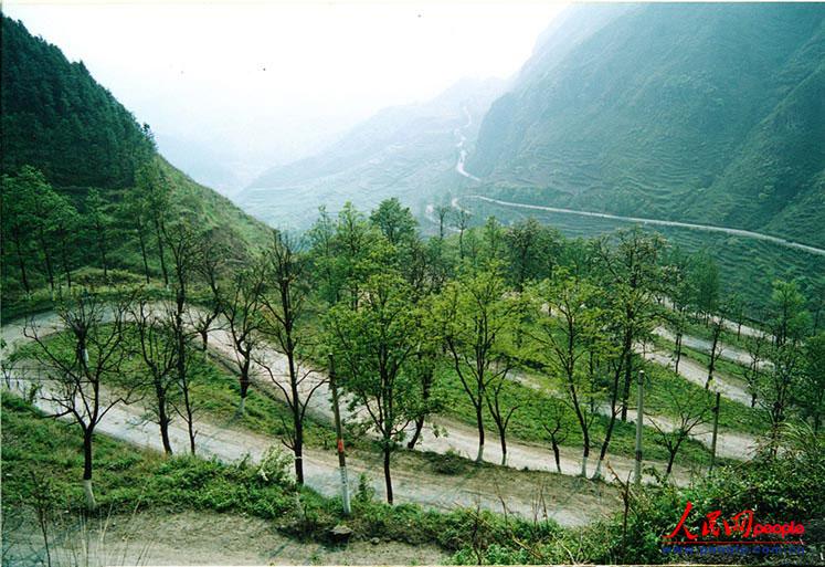 ��¡��24���ա�֮������ꐁ���?j��n)zӰ��