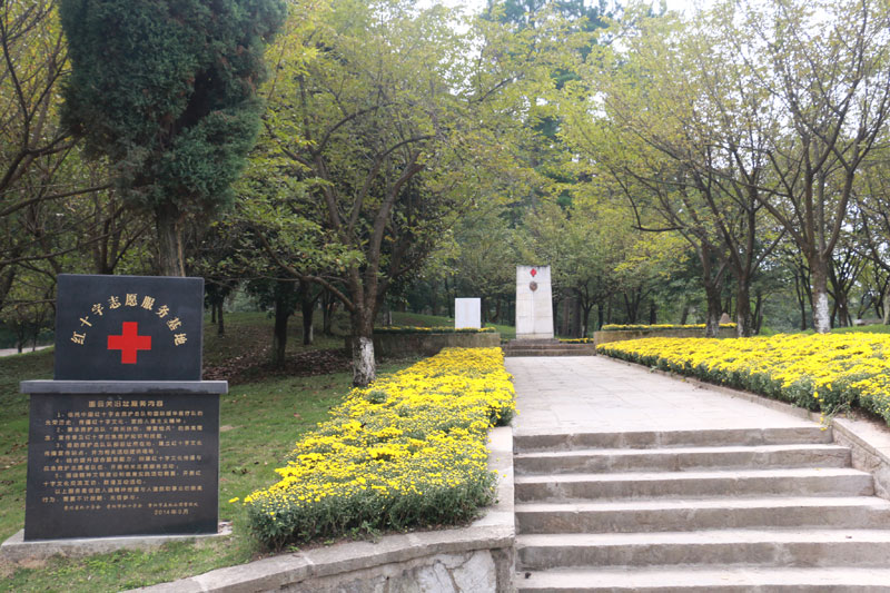 �Ї��tʮ�֕����o(h��)��ꠈD���P(gu��n)