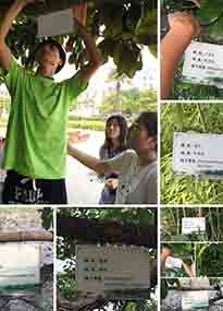 �K���r(n��ng)�W(xu��)Ժ�O(sh��)Ӌ(j��)У�@ֲ����Ƭ�������K�r(n��ng)�Gɫ���}