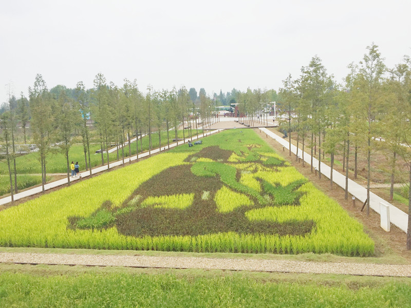 ������L�������������zӰ����־�ۣ�