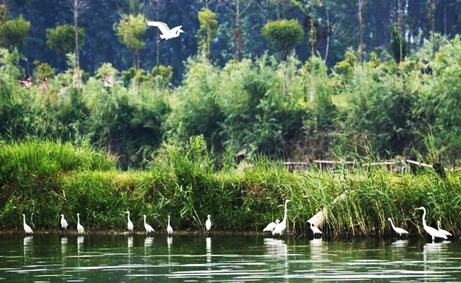 ͯԒ�ϼң���������Ԋ�����Ϙ���f����