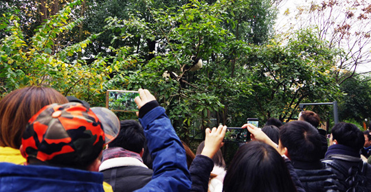 �@�����ӵ������ɶ����W(w��ng)�j(lu��)���ˁ��c(di��n)ٝ