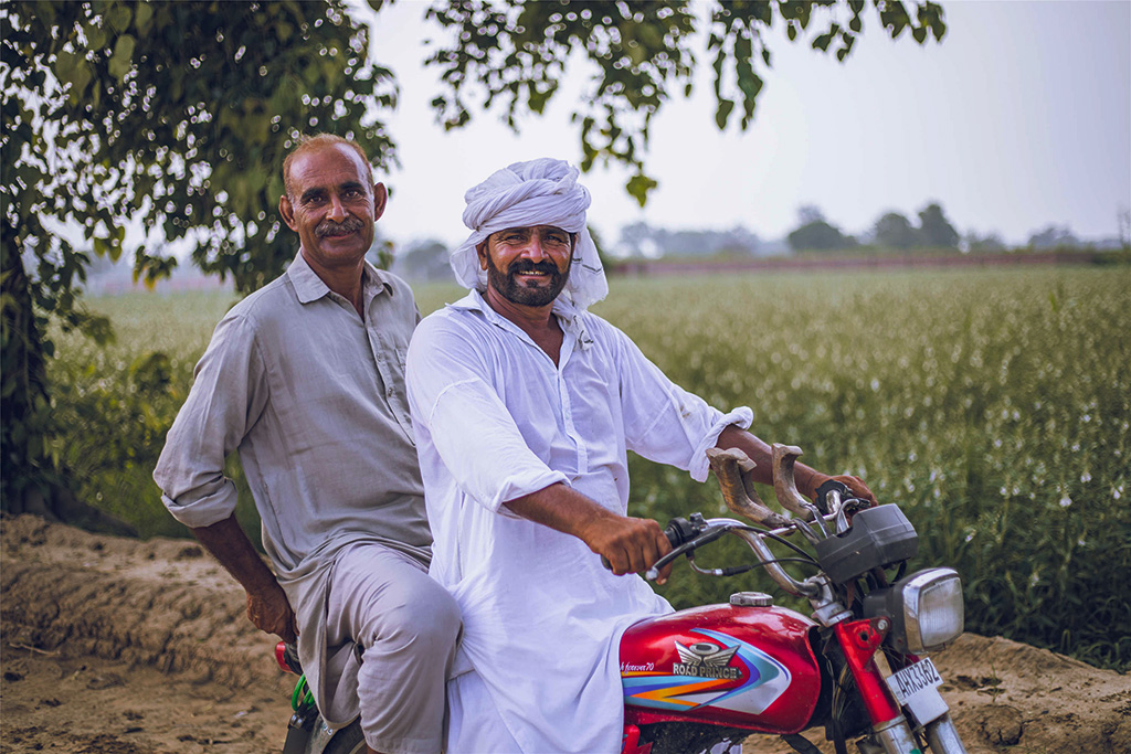 芝麻種植基地給當地人帶來更多就業(yè)機會。（人民網記者 薛丹攝）